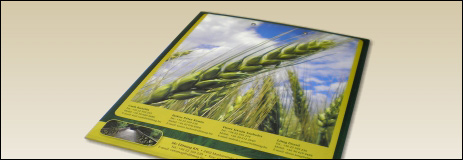 Nyomott hátú  felírótába